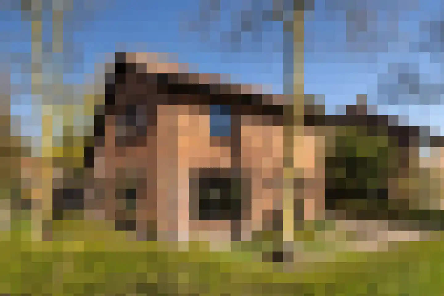 Westerlaan 32 Nunspeet thumbnail 17