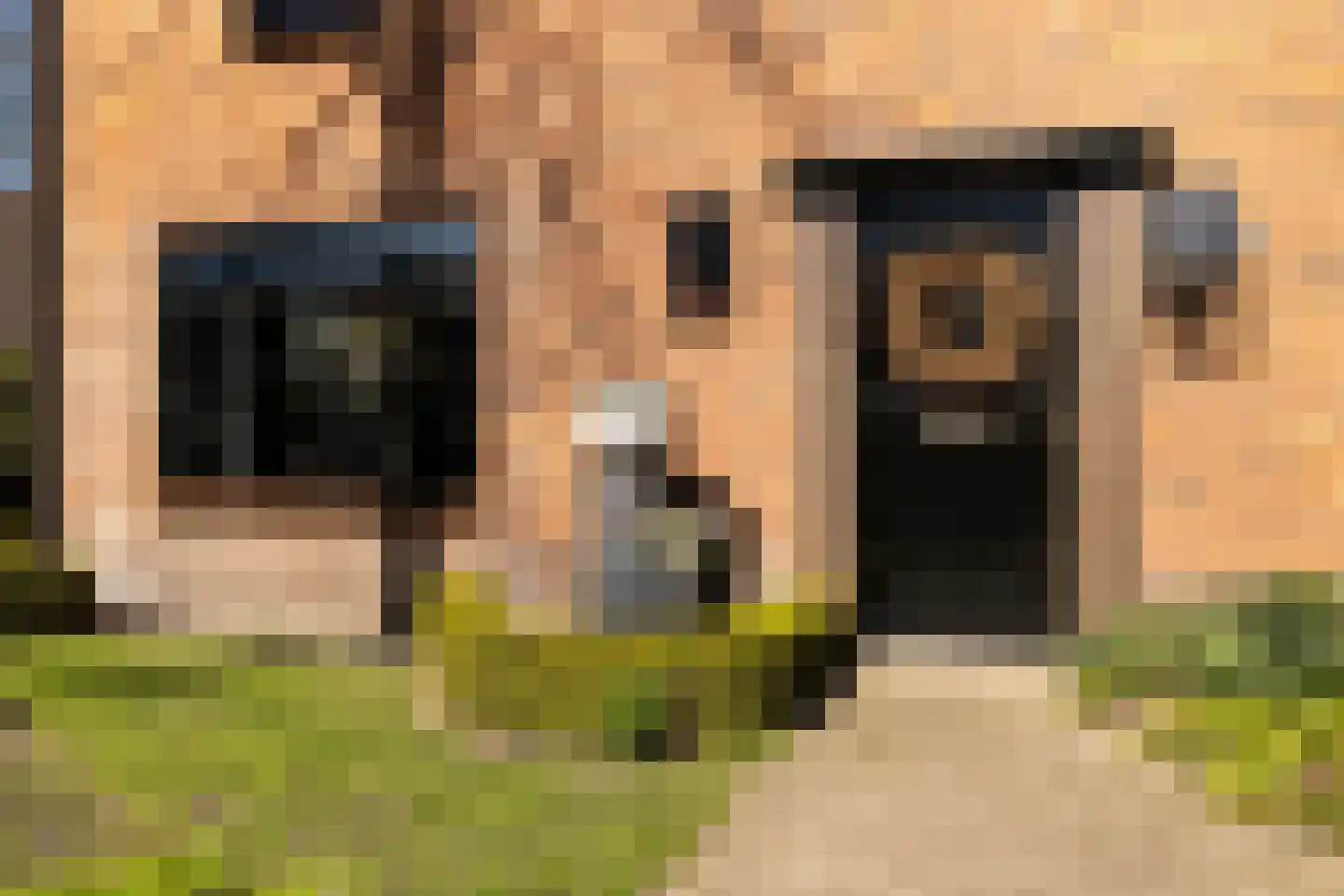 Westerlaan 32 Nunspeet thumbnail 18