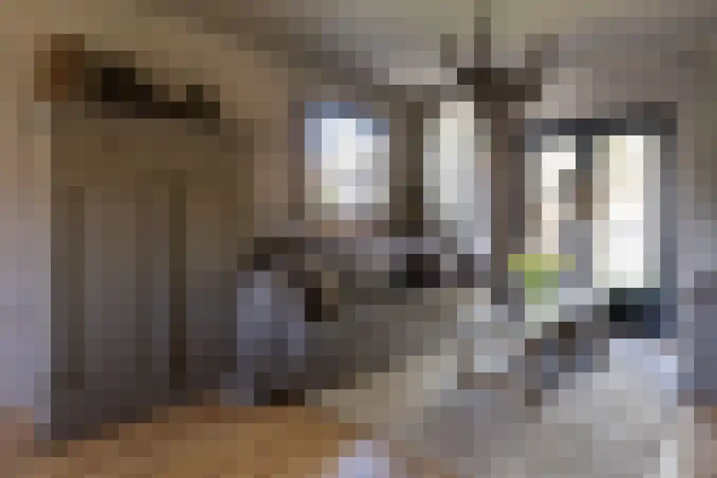 Westerlaan 32 Nunspeet thumbnail 20