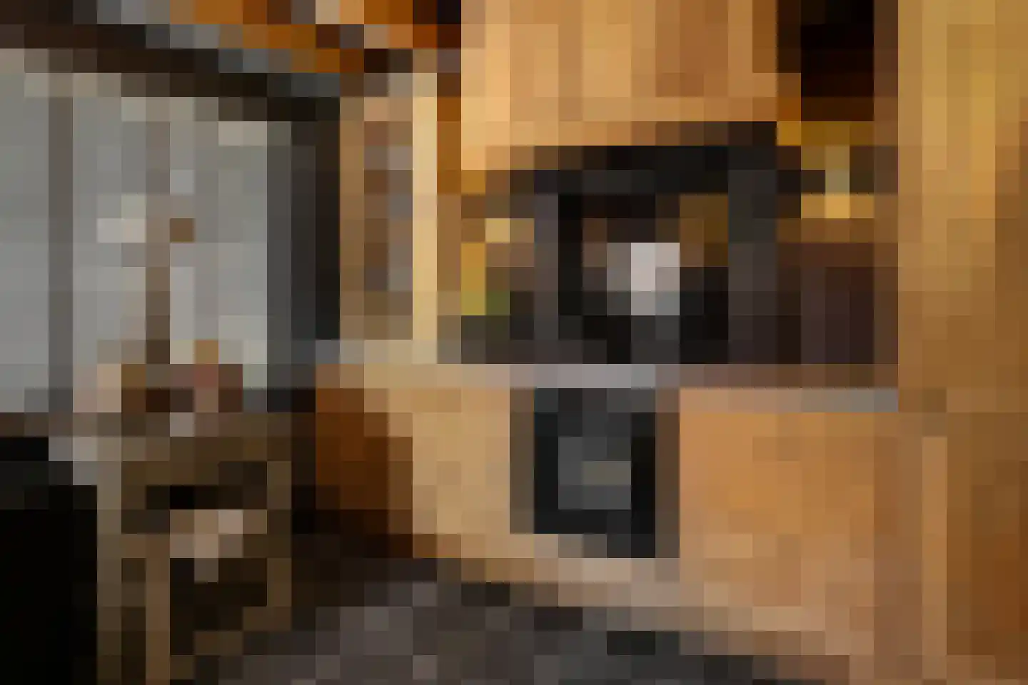 Westerlaan 32 Nunspeet thumbnail 25