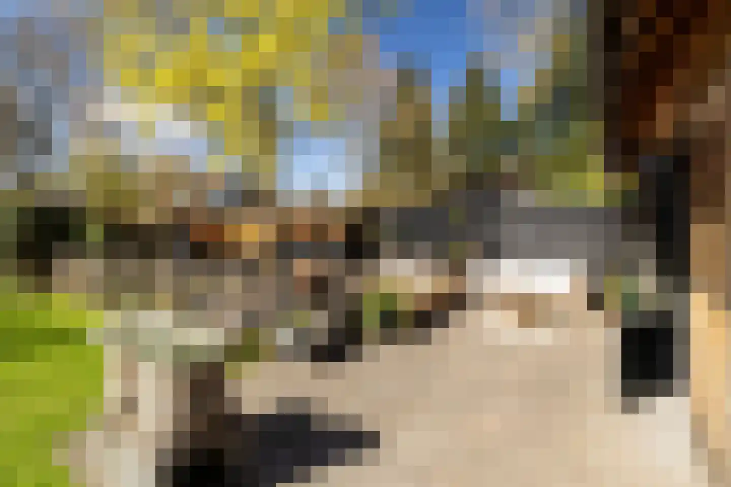 Westerlaan 32 Nunspeet thumbnail 43