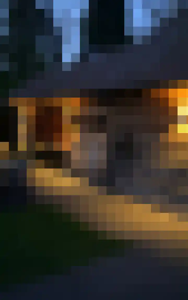 Westerlaan 32 Nunspeet thumbnail 44