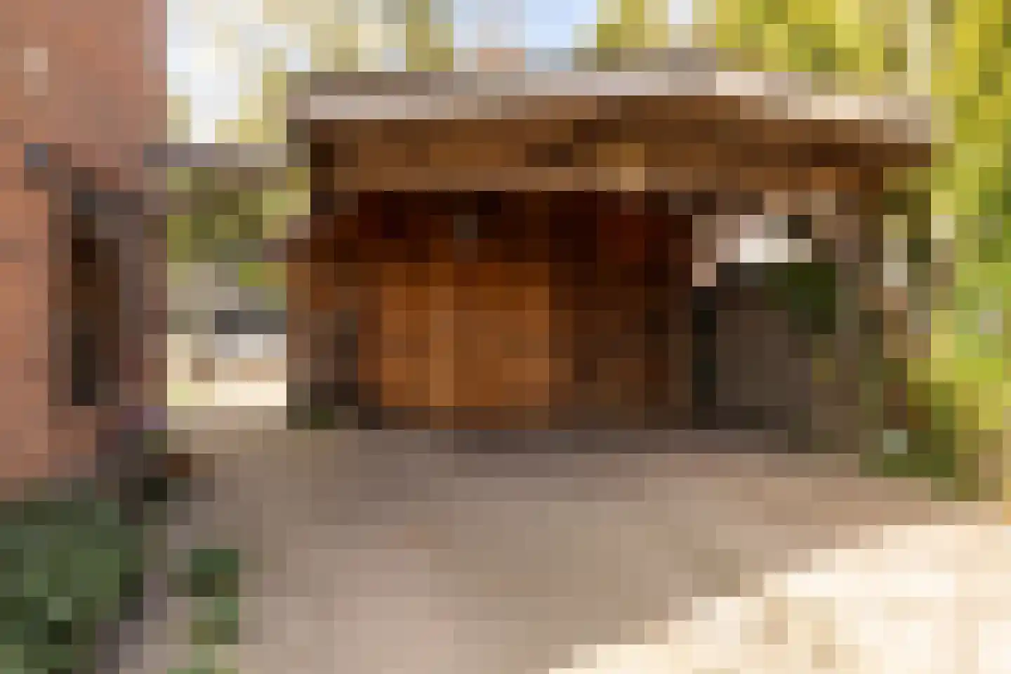 Westerlaan 32 Nunspeet thumbnail 8