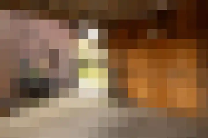 Westerlaan 32 Nunspeet thumbnail 9
