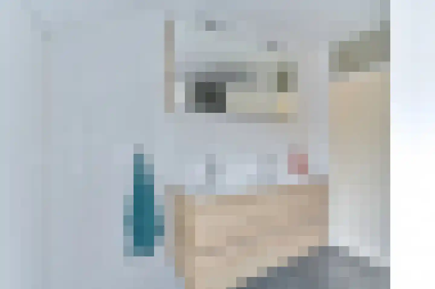 Westerlaan 4 Tiendeveen thumbnail 36