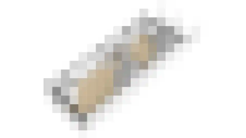Westerlaan 4 Tiendeveen thumbnail 57