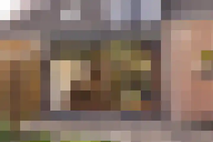 Westerlaan 40 Tiendeveen thumbnail 21