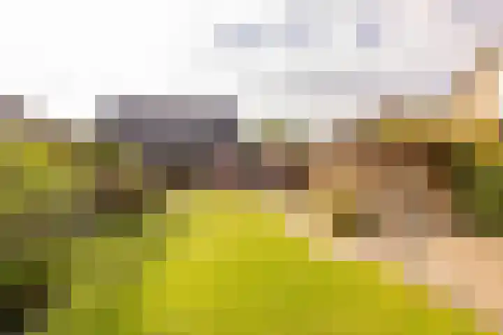 Westerlaan 40 Tiendeveen thumbnail 46