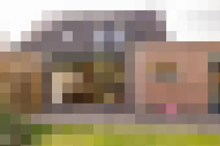 Westerlaan 40 Tiendeveen thumbnail 48