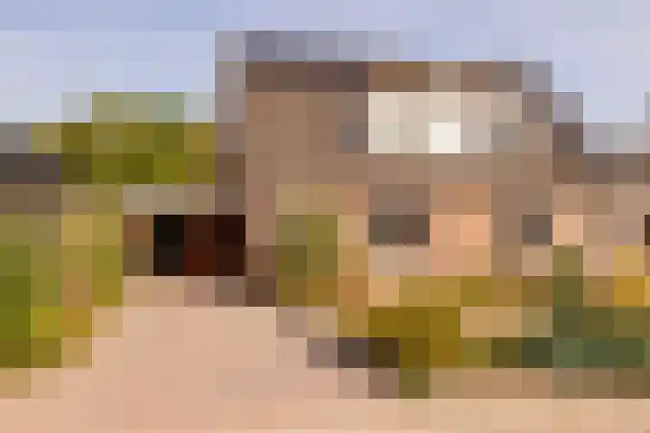 Westerlaan 40 Tiendeveen thumbnail 5