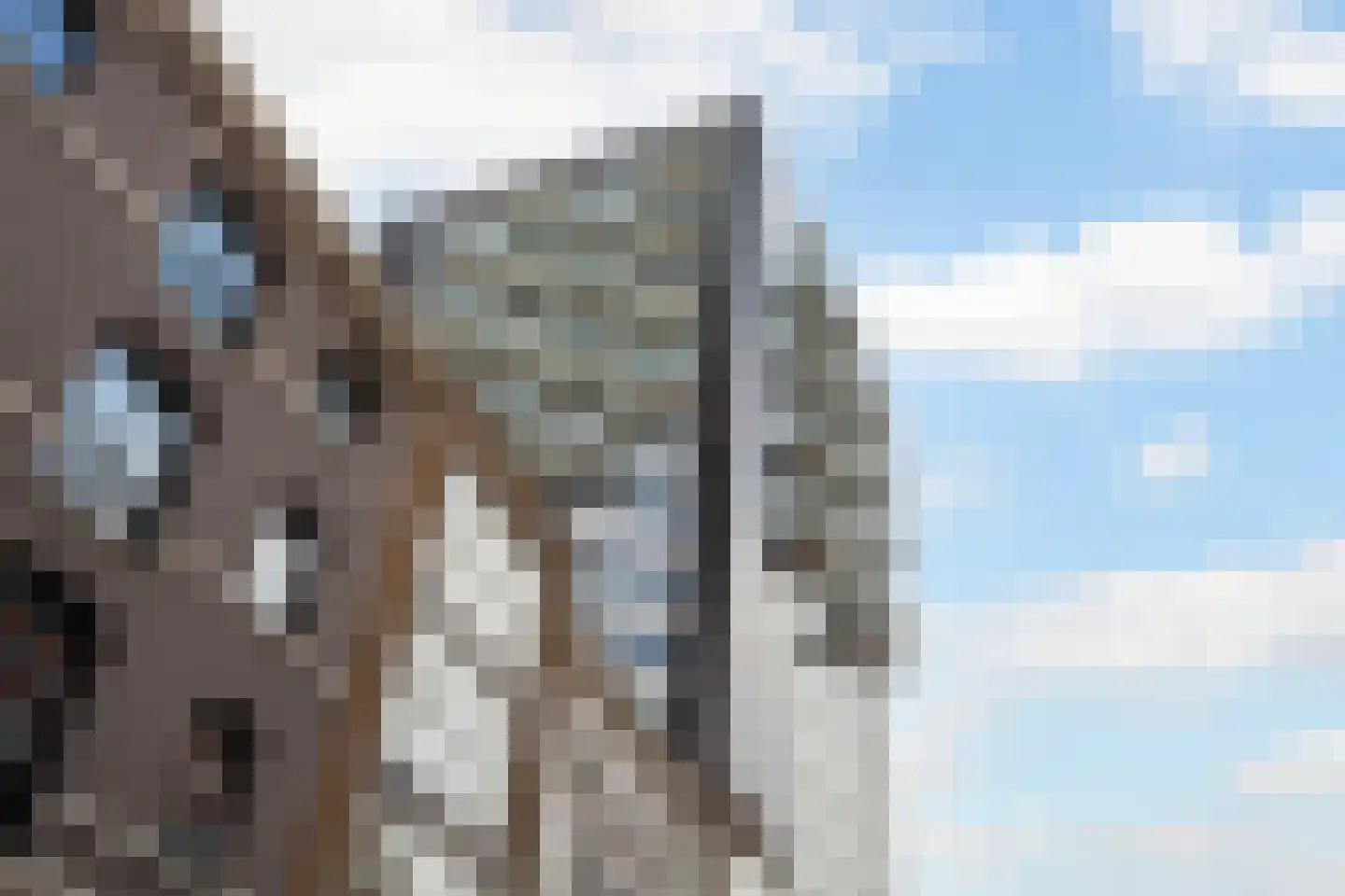Westerlaan 59 Rotterdam thumbnail 32