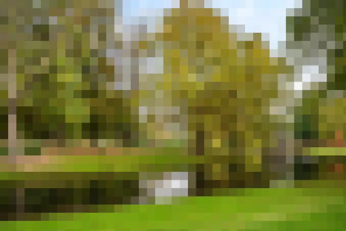 Westerlaan 59 Rotterdam thumbnail 42