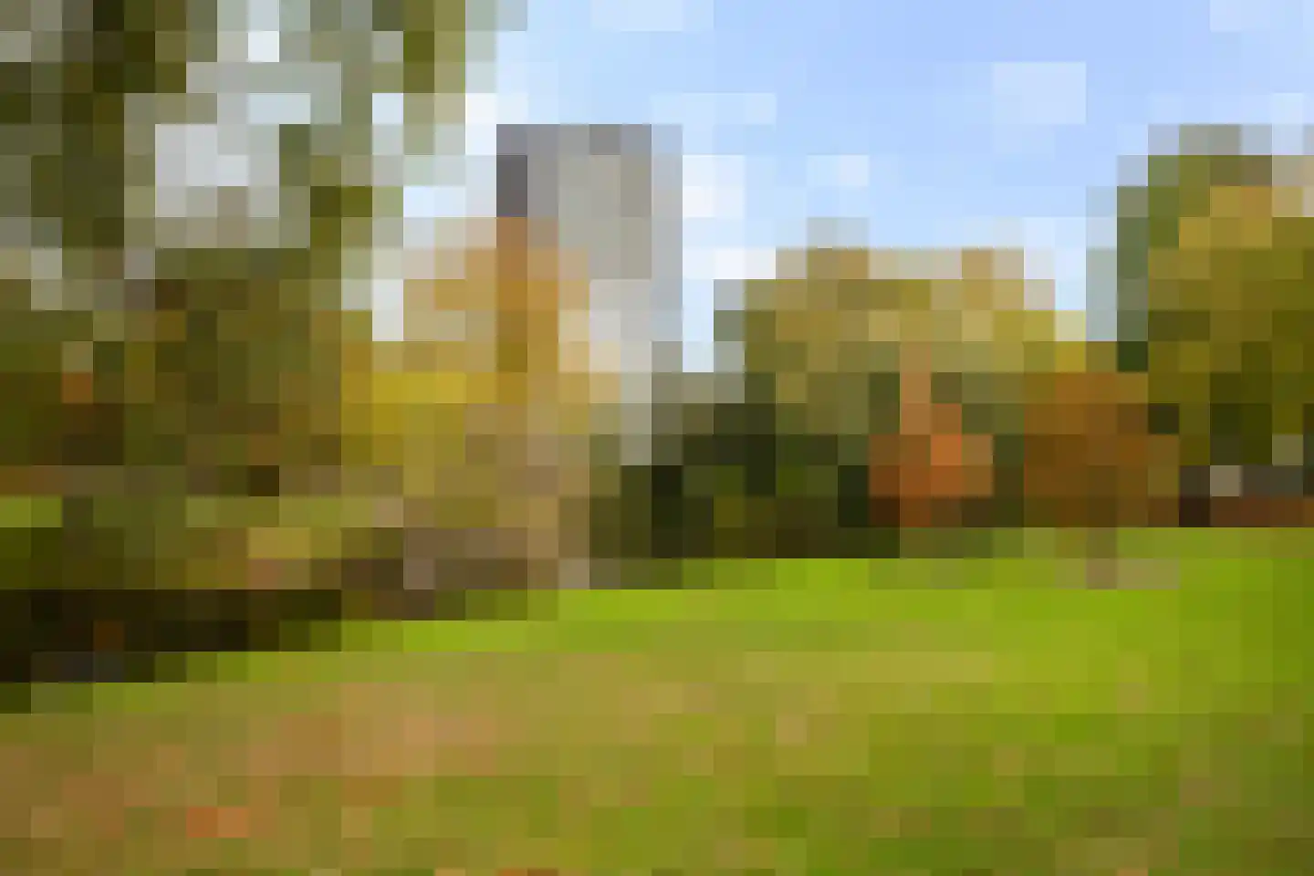 Westerlaan 59 Rotterdam thumbnail 43