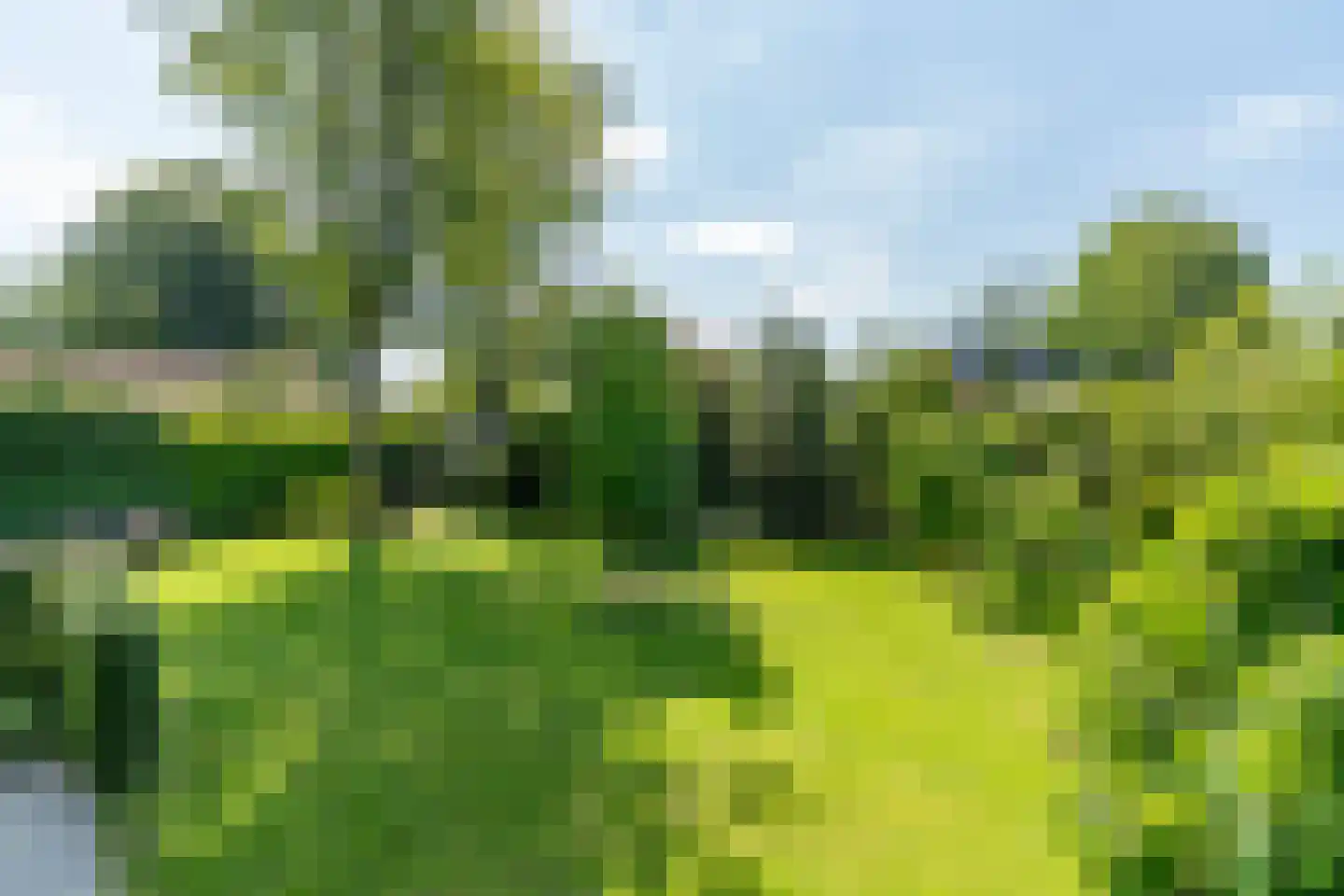 Westerlaan 67 Nunspeet thumbnail 36