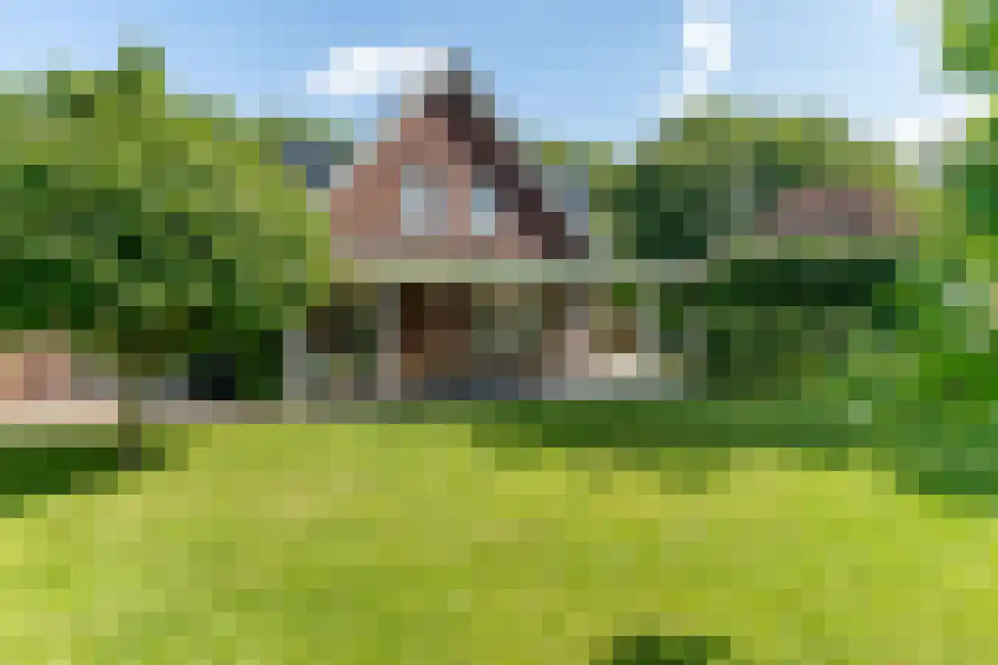 Westerlaan 67 Nunspeet thumbnail 37