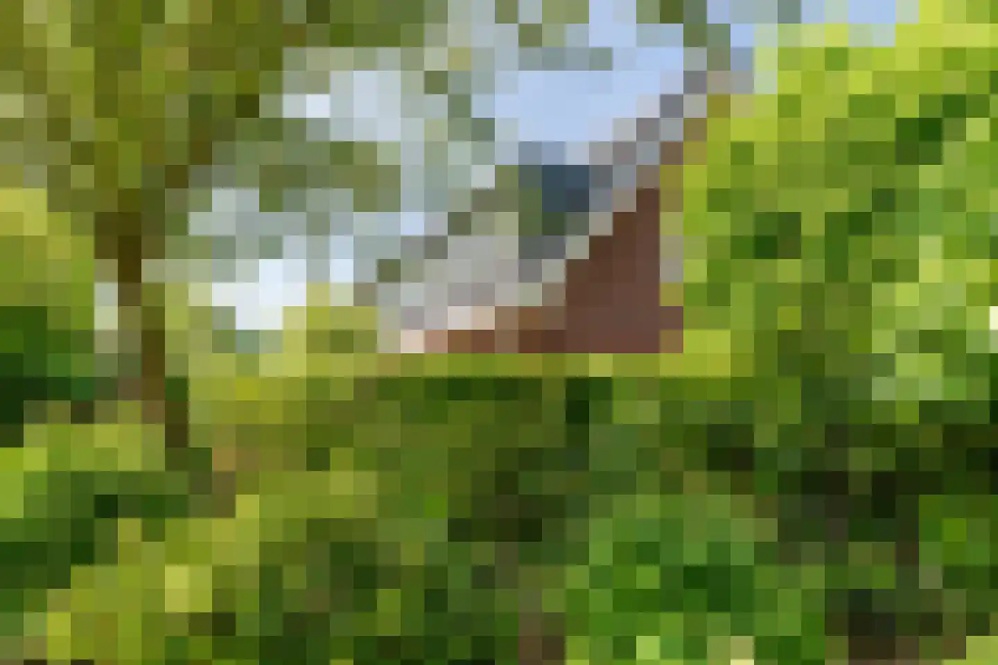Westerlaan 67 Nunspeet thumbnail 8