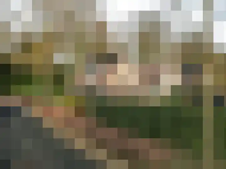 Westerlaan 68 Nunspeet thumbnail 38
