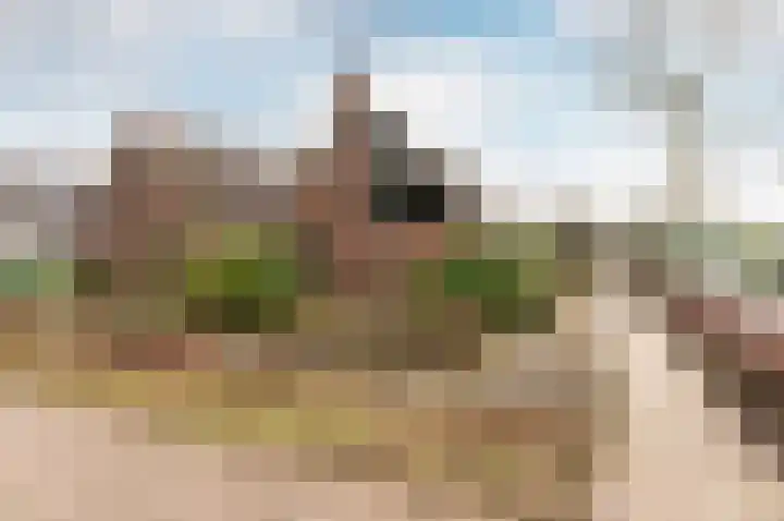 Westerlaan 68 Nunspeet thumbnail 4