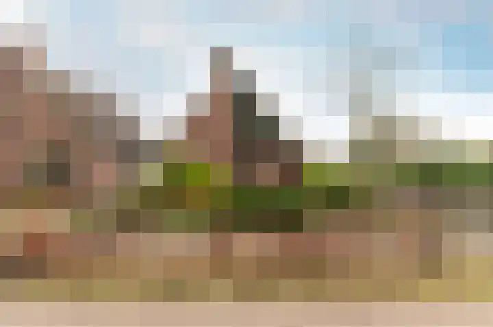 Westerlaan 68 Nunspeet thumbnail 5