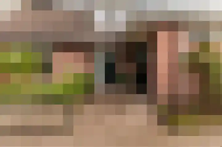 Westerlaan 68 Nunspeet thumbnail 6