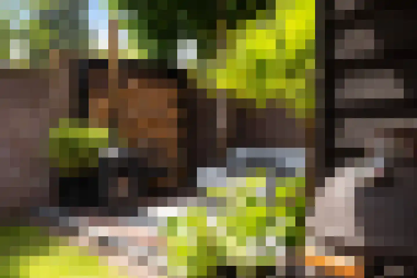 Westerlaan 7 A De Bilt thumbnail 33