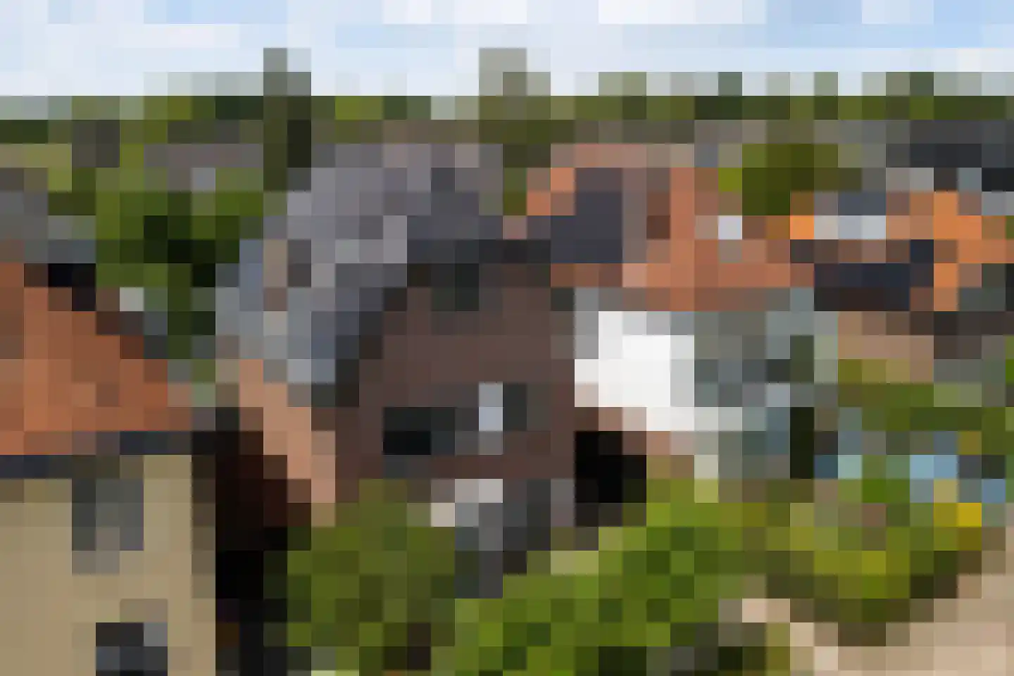 Westerlaan 7 A De Bilt thumbnail 61