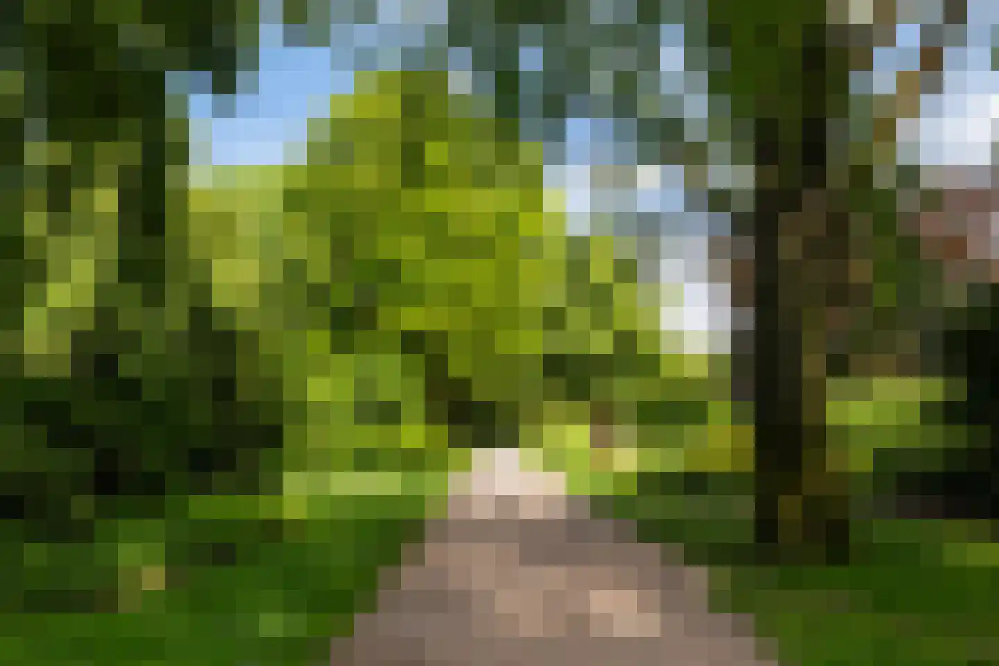 Westerlaan 7 A De Bilt thumbnail 63