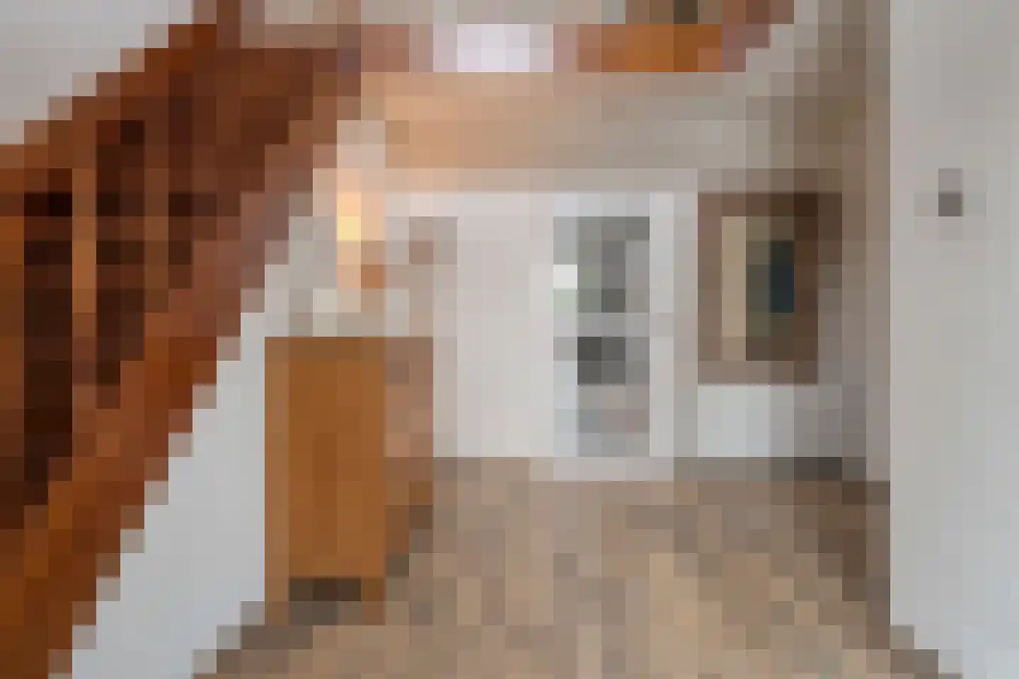 Westerlaan 7 Tiendeveen thumbnail 10