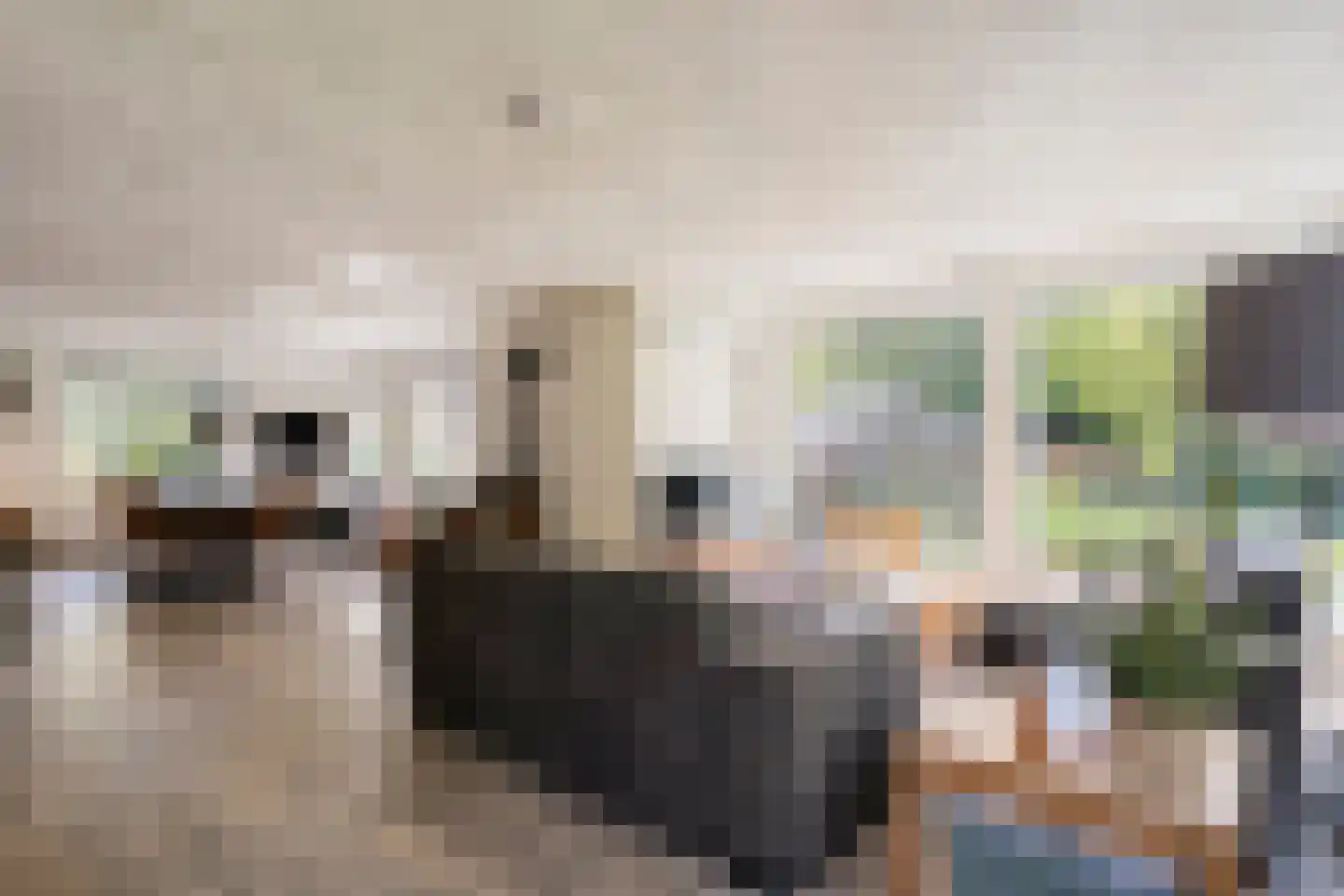 Westerlaan 7 Tiendeveen thumbnail 11