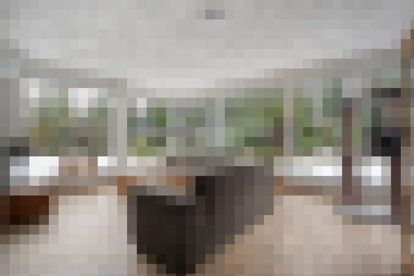 Westerlaan 7 Tiendeveen thumbnail 12