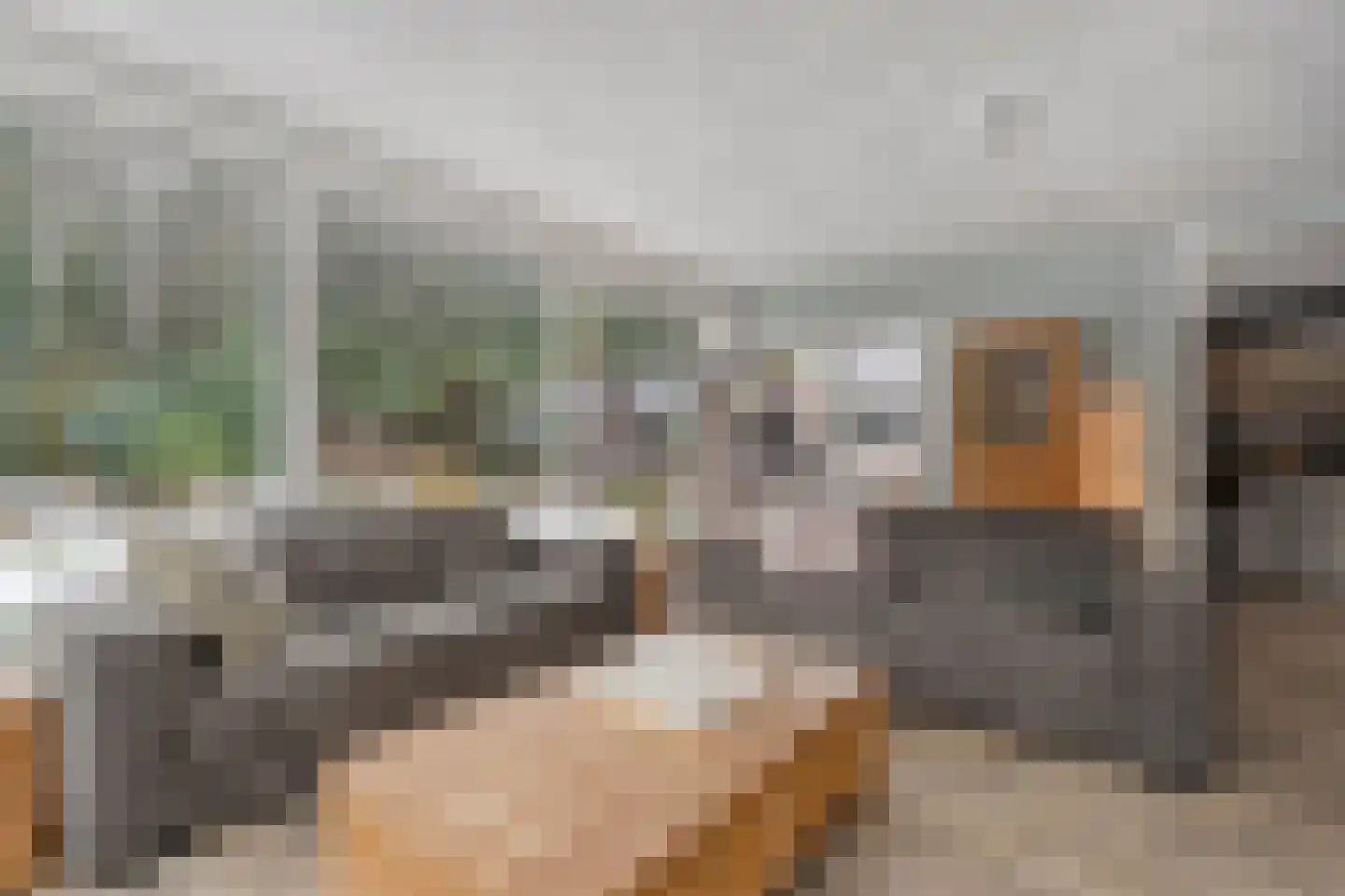 Westerlaan 7 Tiendeveen thumbnail 14