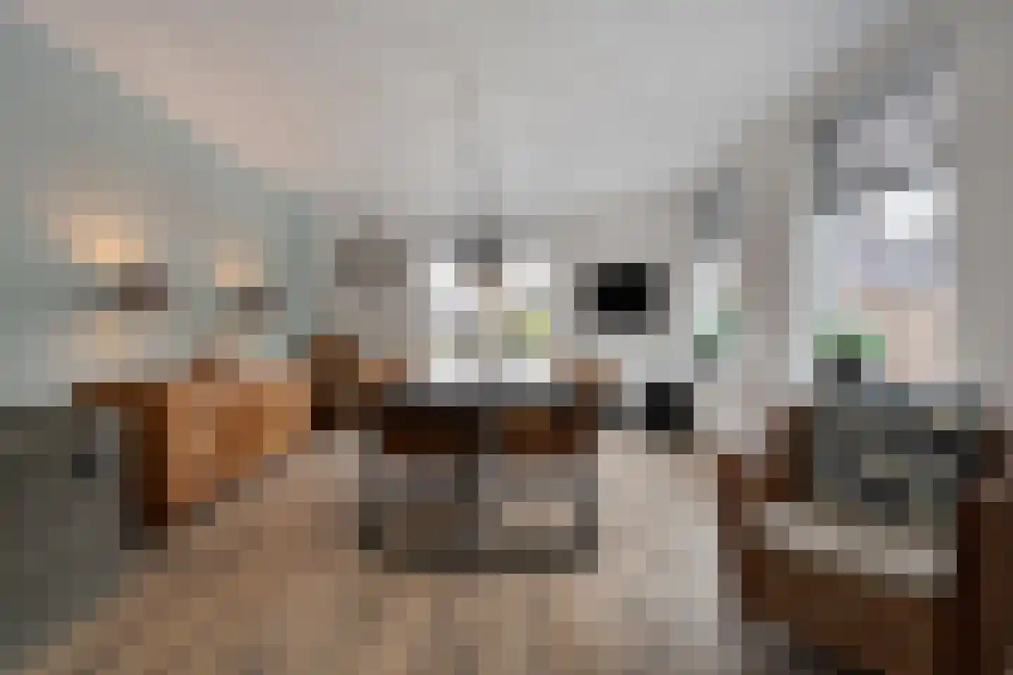 Westerlaan 7 Tiendeveen thumbnail 17