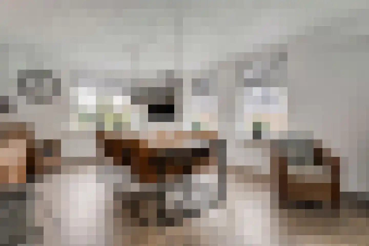 Westerlaan 7 Tiendeveen thumbnail 18