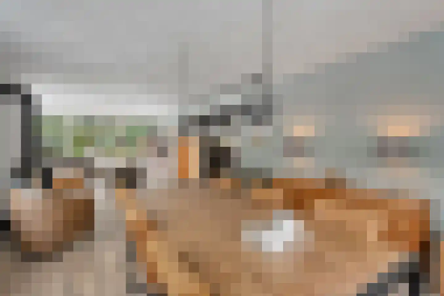 Westerlaan 7 Tiendeveen thumbnail 19