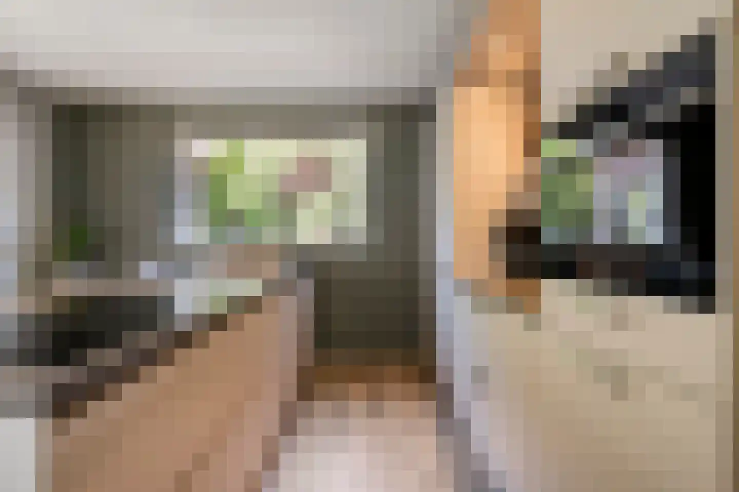 Westerlaan 7 Tiendeveen thumbnail 22