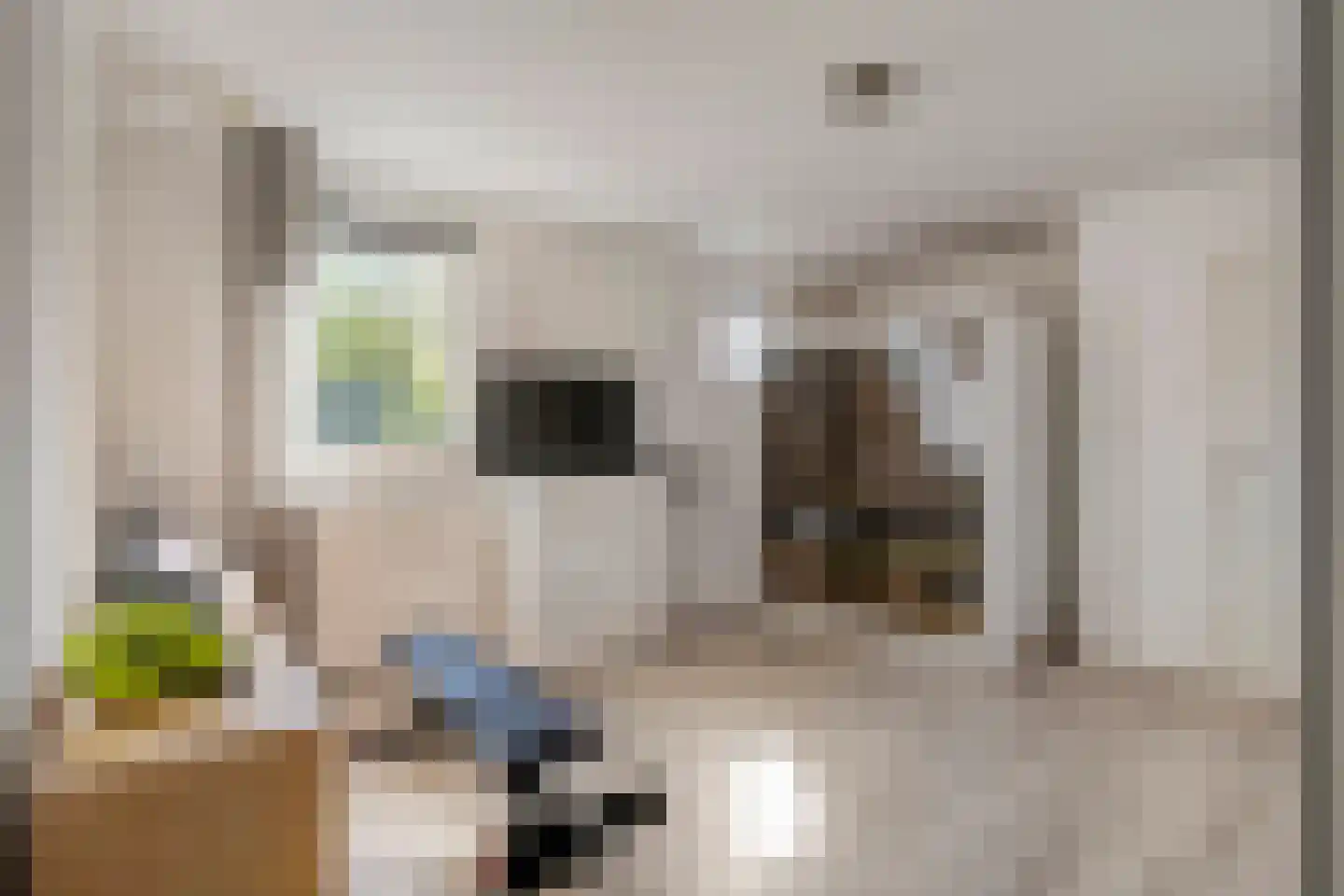 Westerlaan 7 Tiendeveen thumbnail 32