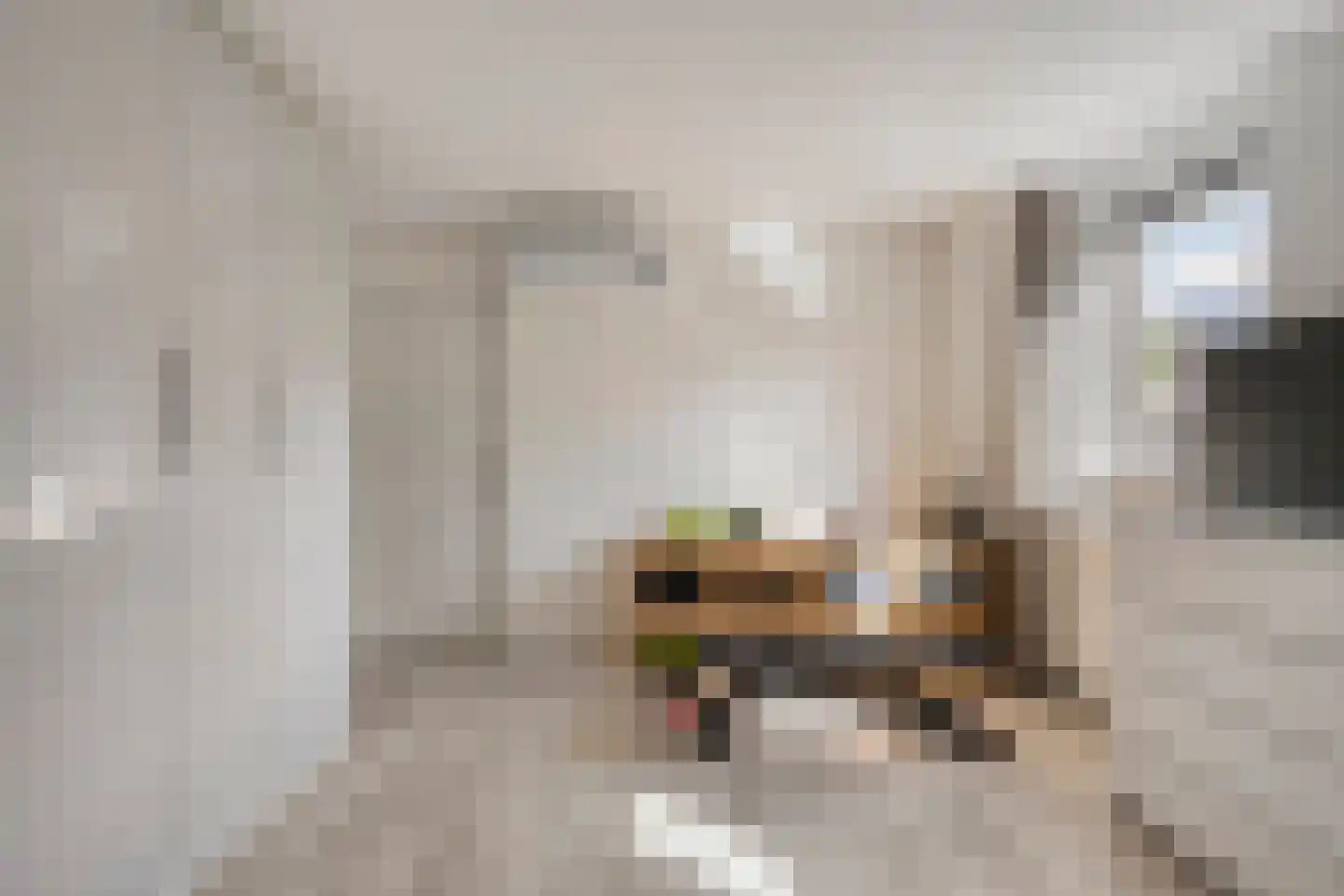 Westerlaan 7 Tiendeveen thumbnail 33