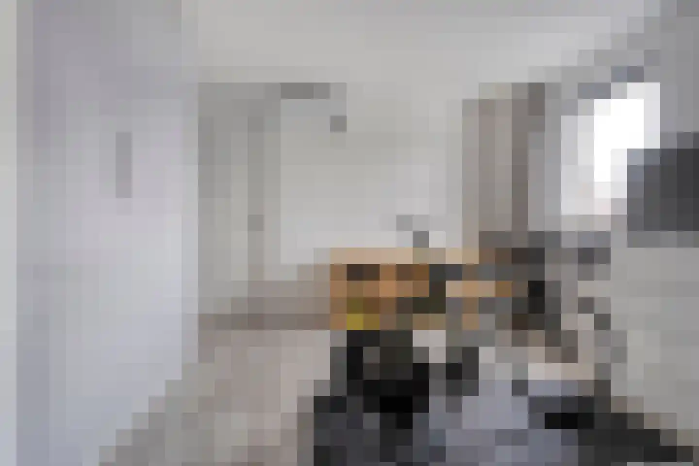 Westerlaan 7 Tiendeveen thumbnail 35