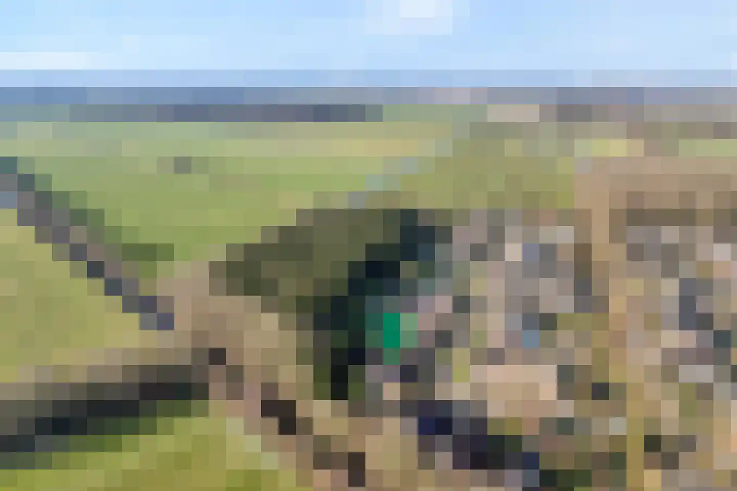 Westerlaan 7 Tiendeveen thumbnail 4