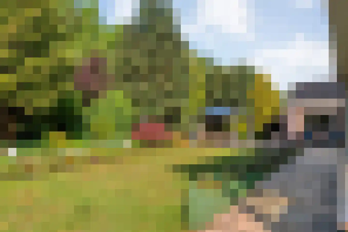 Westerlaan 7 Tiendeveen thumbnail 57