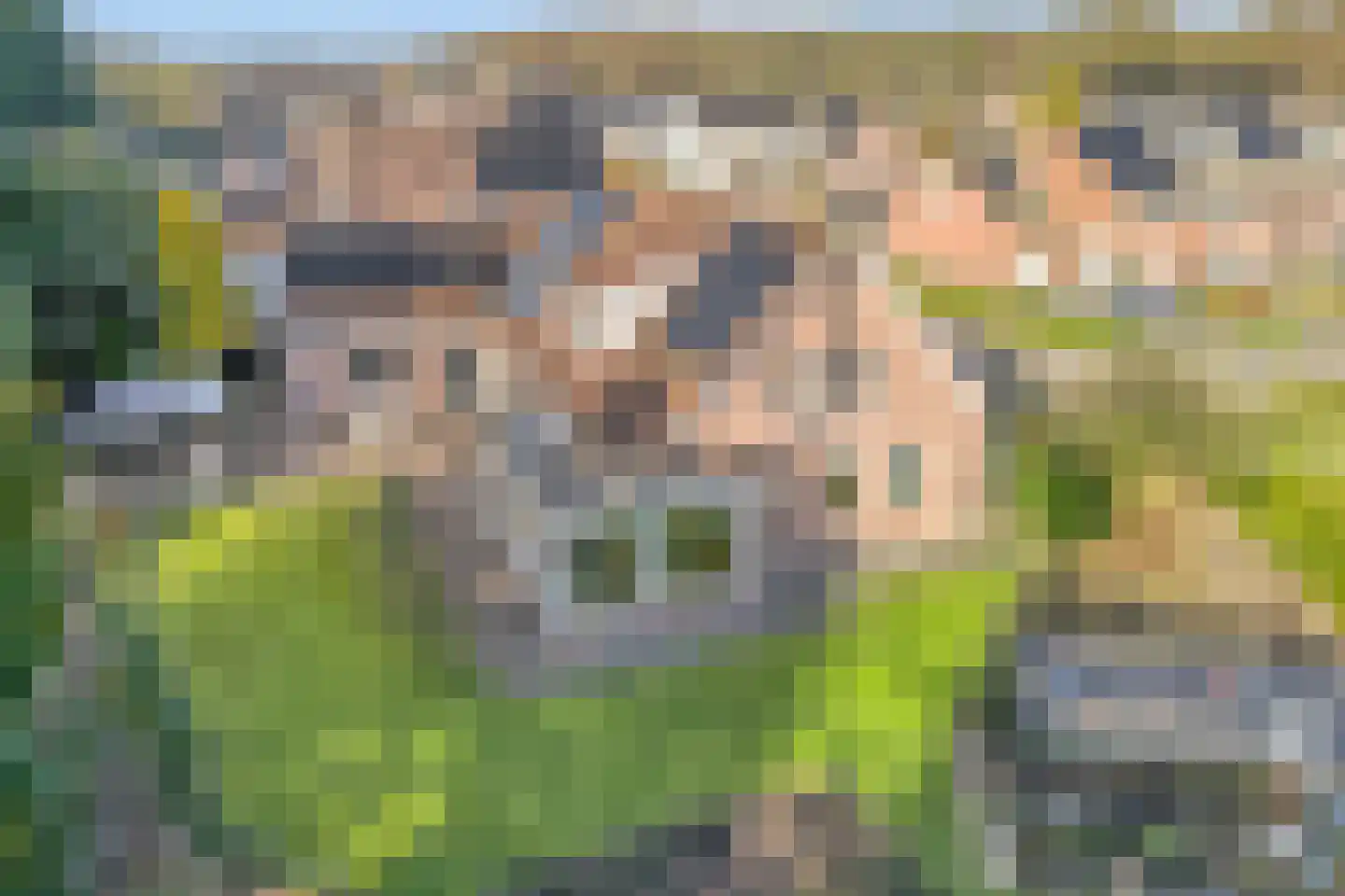 Westerlaan 7 Tiendeveen thumbnail 6