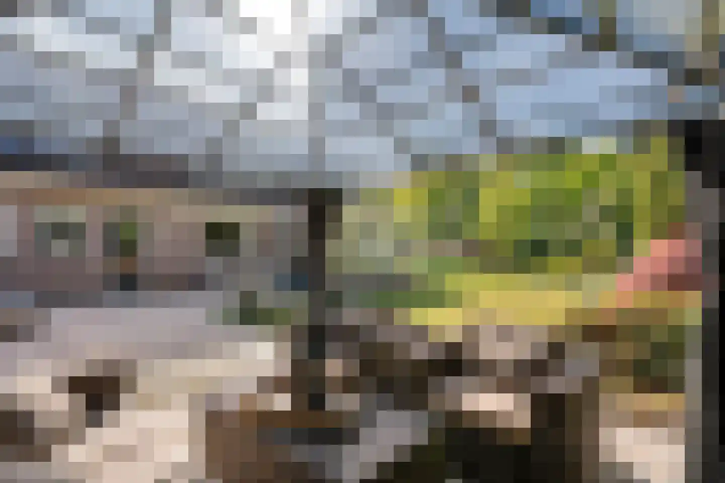 Westerlaan 7 Tiendeveen thumbnail 61