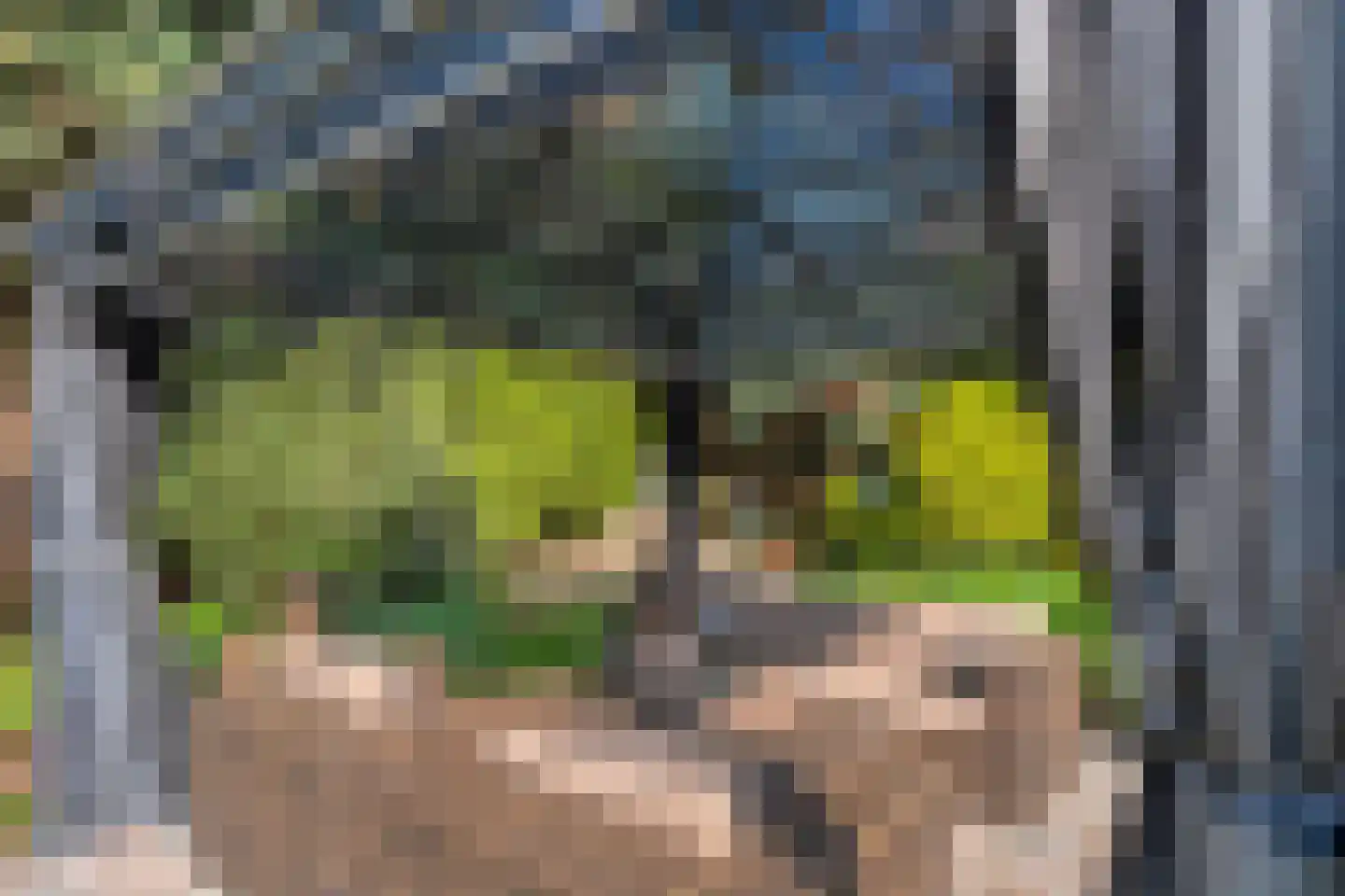 Westerlaan 7 Tiendeveen thumbnail 62