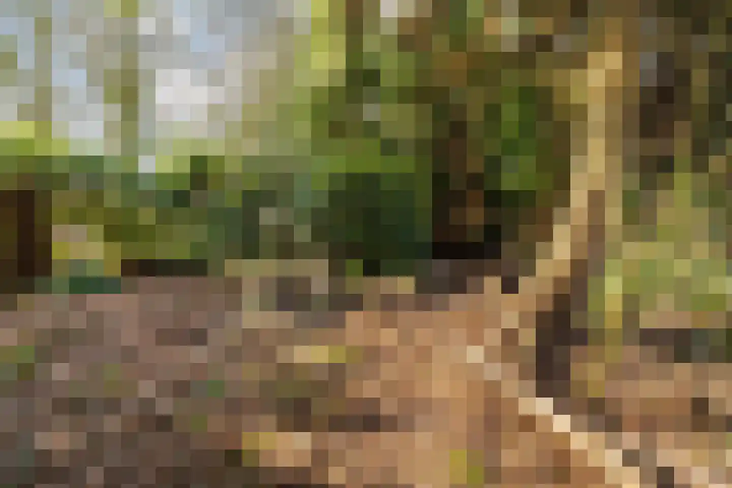 Westerlaan 7 Tiendeveen thumbnail 63