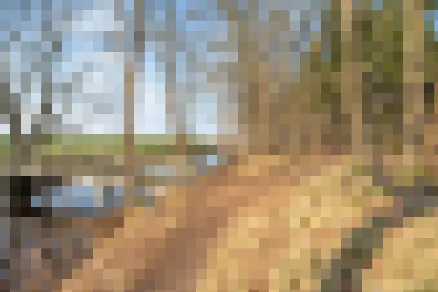 Westerlaan 7 Tiendeveen thumbnail 65