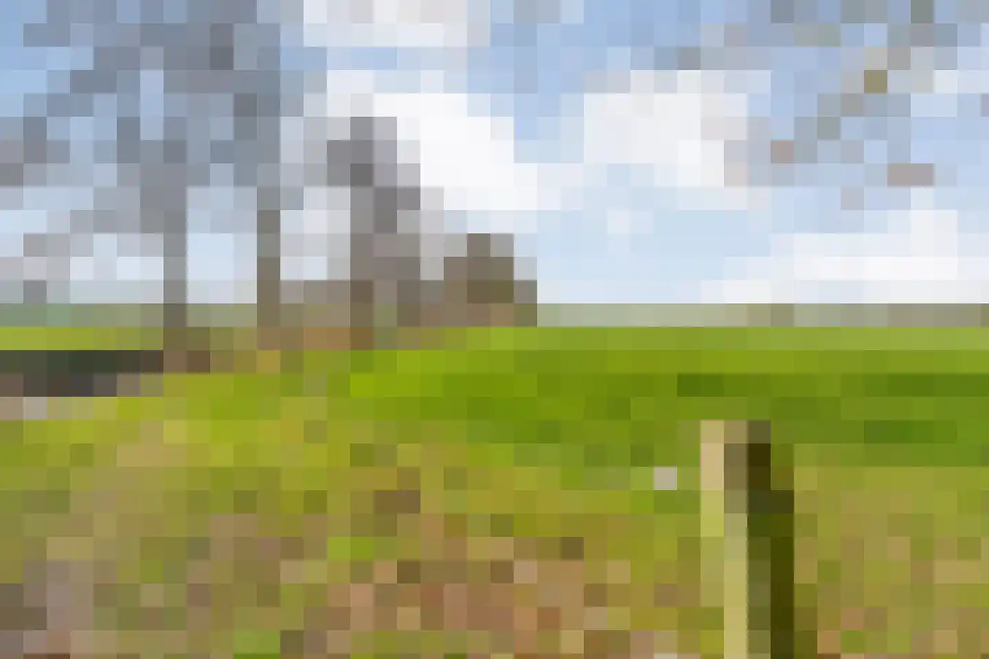 Westerlaan 7 Tiendeveen thumbnail 66