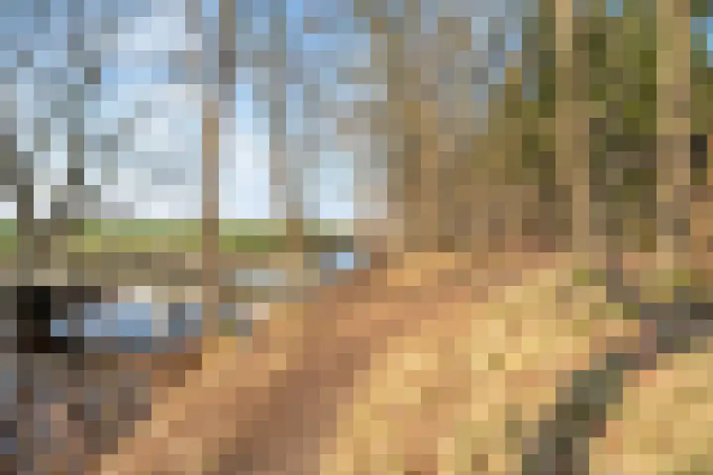 Westerlaan 7 Tiendeveen thumbnail 67