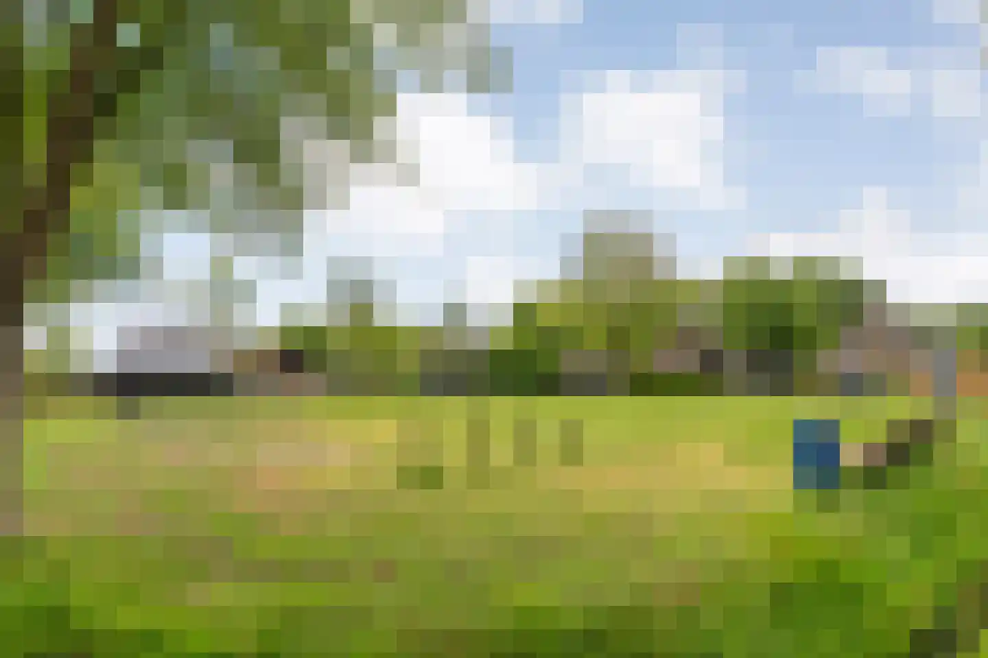 Westerlaan 7 Tiendeveen thumbnail 69