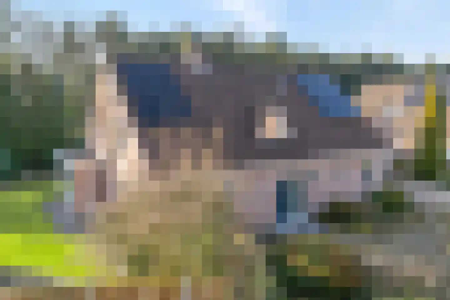 Westerlaan 7 Tiendeveen thumbnail 69