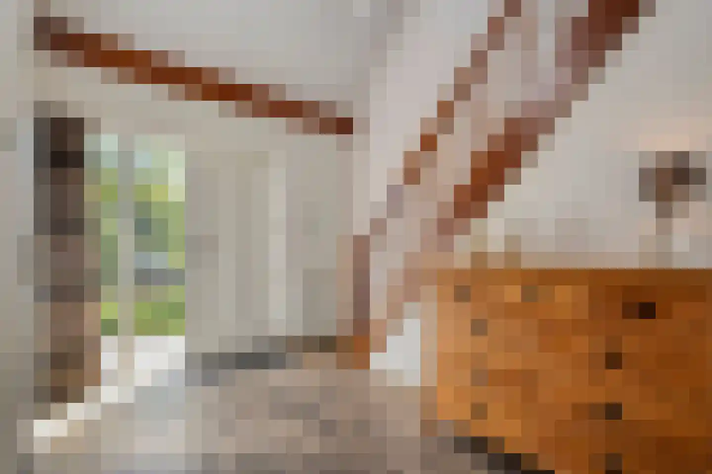 Westerlaan 7 Tiendeveen thumbnail 7